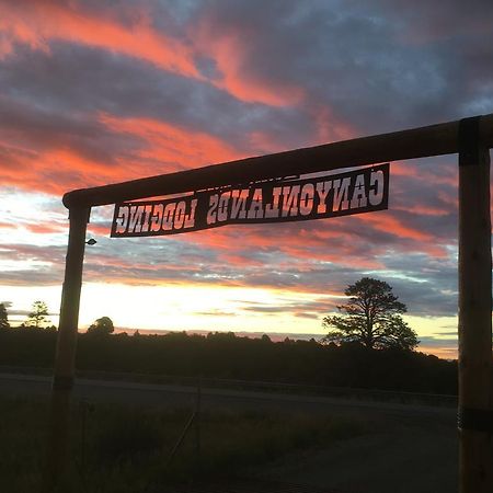 Bluebell Cabin, Glamour Cabin Camping, Stunning Night Sky مونتيسلو المظهر الخارجي الصورة
